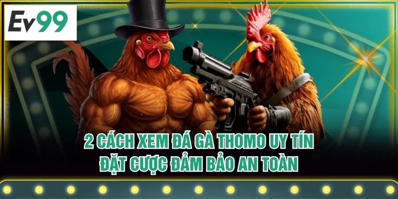 2 Cách Xem Đá Gà Thomo Uy Tín, Đặt Cược Đảm Bảo An Toàn
